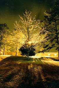 Eis am Stiel bei nacht